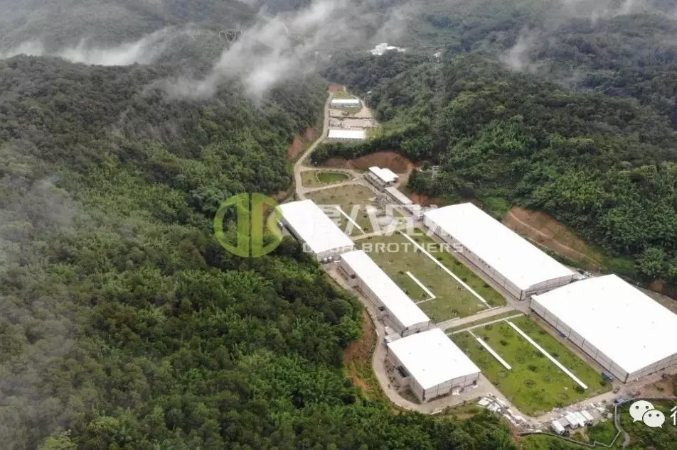 Une interview exclusive avec le âPIG FARM POWER NETWORKâ - PDG de Deba Brothers