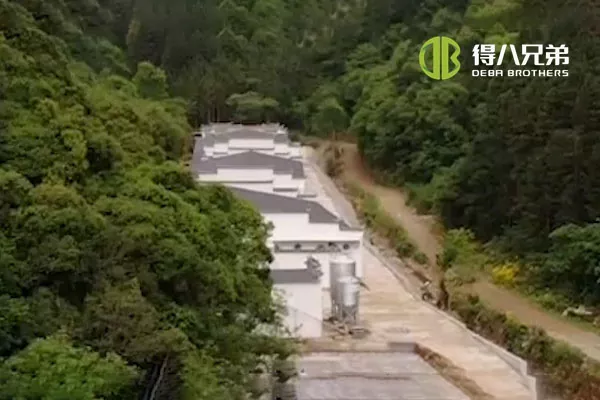 ãSystème d'alimentation liquideãAnhui Huangshan 400 truies ferme