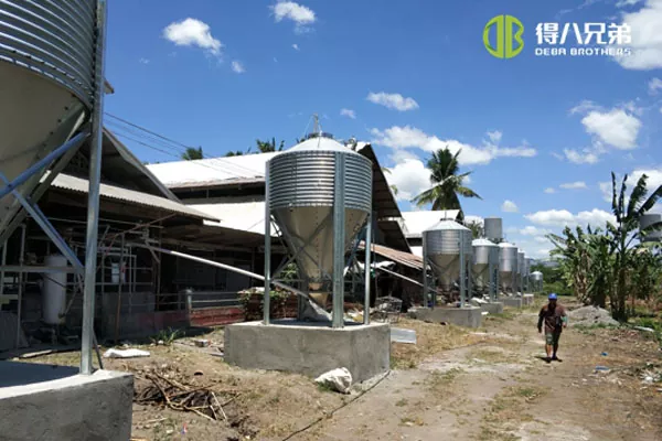ãUnité de mise basãÉlevage de truies de Davao aux Philippines