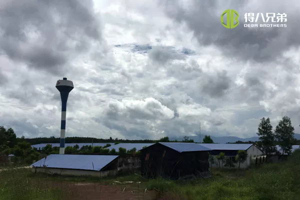 ãProjet de ligne complèteãVietnam Hochiminh 1200 truies projet