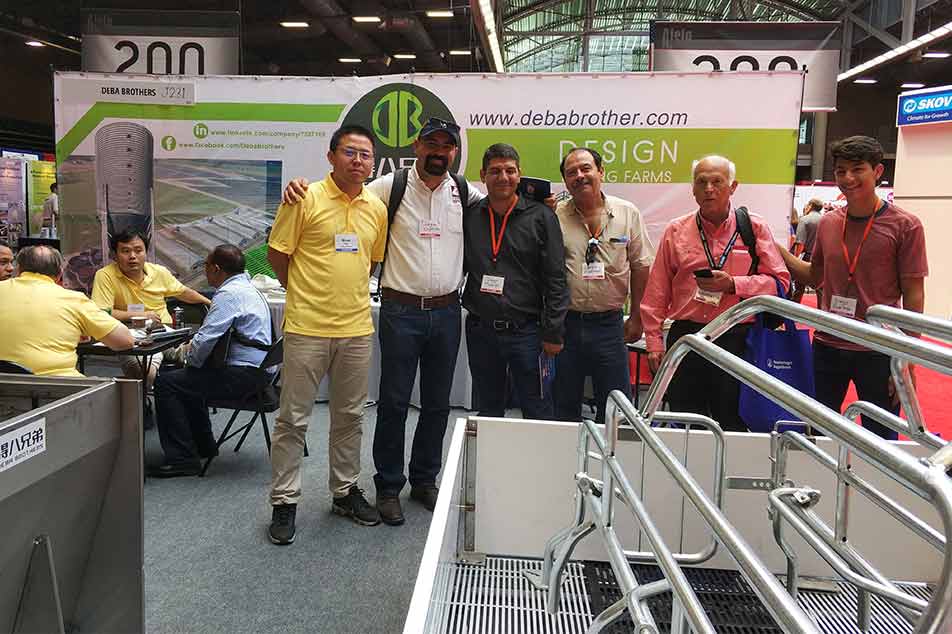 Achetez des équipements de stabulation pour porcs abordables - DEBA BROTHERS®