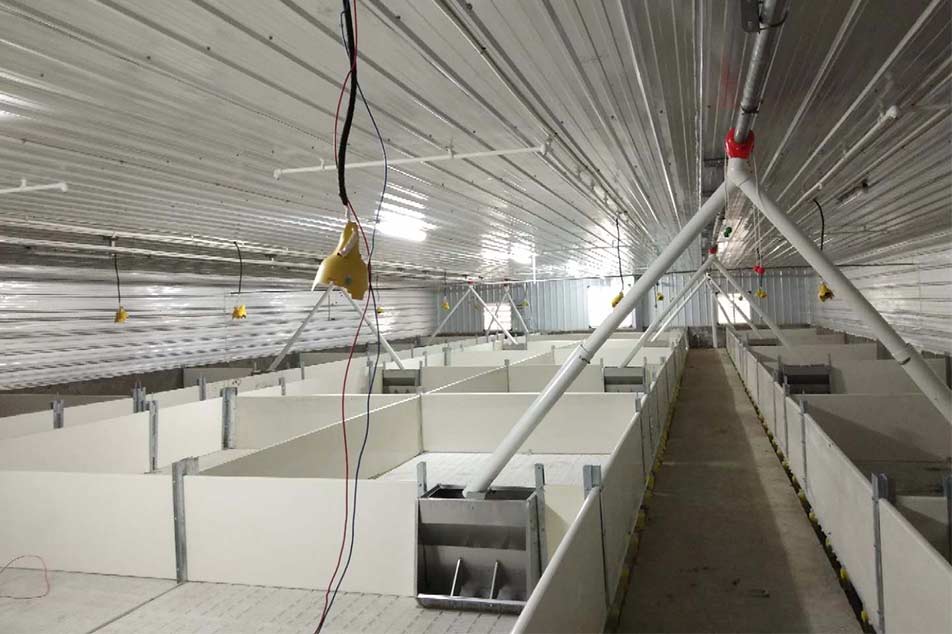 Conceptions de panneaux muraux en PVC pour porcs de haute qualité pour caisses de mise bas - Debabrothers