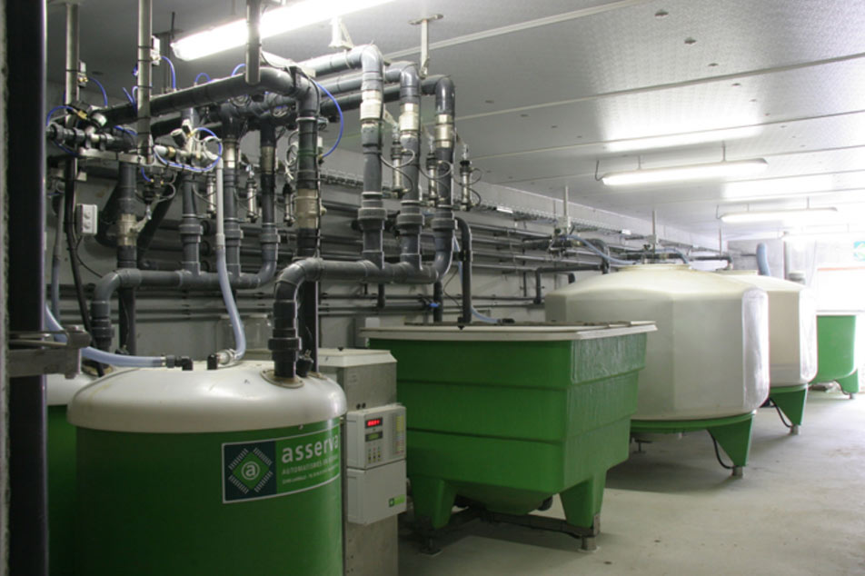 Le système d'alimentation liquide révolutionne l'industrie porcine : un changement de jeu pour les élevages porcins