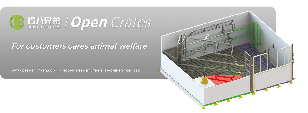 Le lit ouvert pour truies DEBA Brothers a été reconnu dans le monde entier pour sa conception conviviale