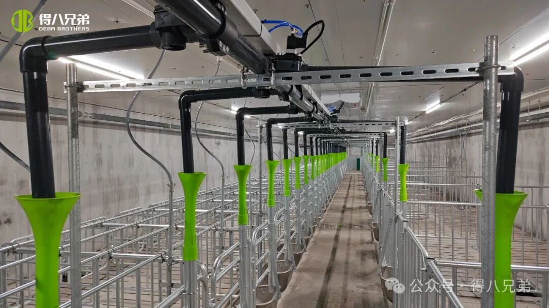 Base de démonstration d'élevage et de culture de porcs noirs Deba Brother Licha - Opérations intégrées de 2 000 truies, 50 000 abattages annuels, 67 000 mètres carrés