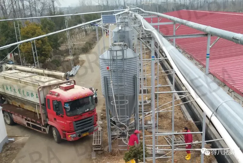 Ligne d'alimentation de convoyage de grand diamètre : un puissant outil de défense ASF importé d'Europe