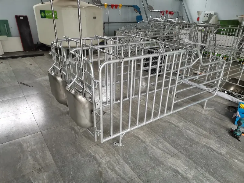 Principaux avantages de la galvanisation à chaud pour les équipements d’élevage porcin