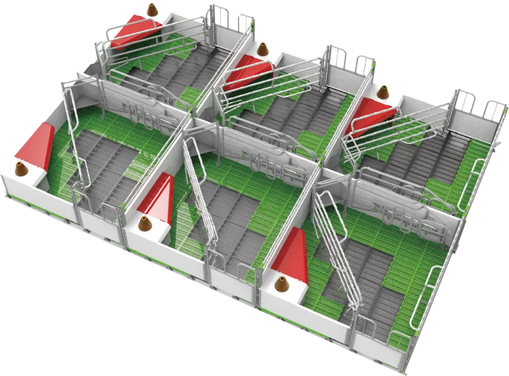 La tendance en matière de bien-être des truies entraîne des améliorations dans la conception des cages de mise bas