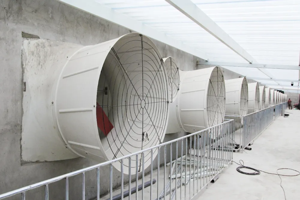 Le contrôle climatique intelligent devient une tendance en vogue dans les améliorations à grande échelle des élevages porcins